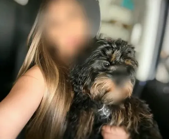 Astrid, 33